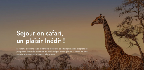 https://www.safari-info.com